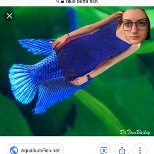 Meet your Posher, Thomas